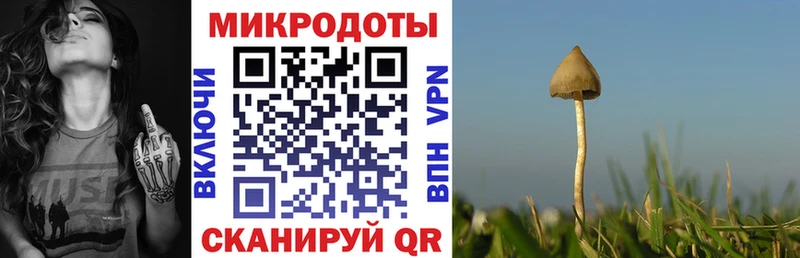 mega tor  купить  цена  Похвистнево  Галлюциногенные грибы Psilocybe 