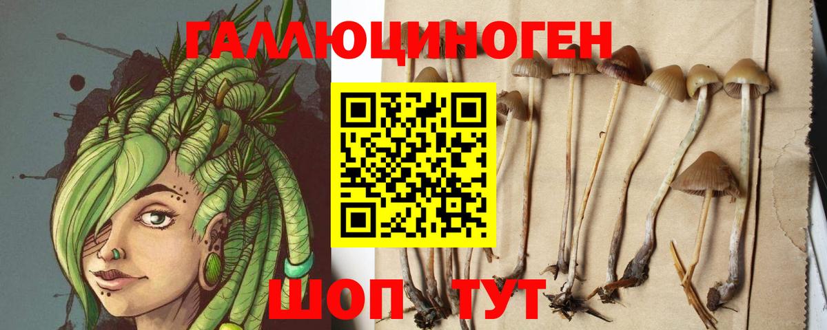 Псилоцибиновые грибы GOLDEN TEACHER  Галлюциногенные грибы MAGIC MUSHROOMS  Похвистнево  Вход с VPN 